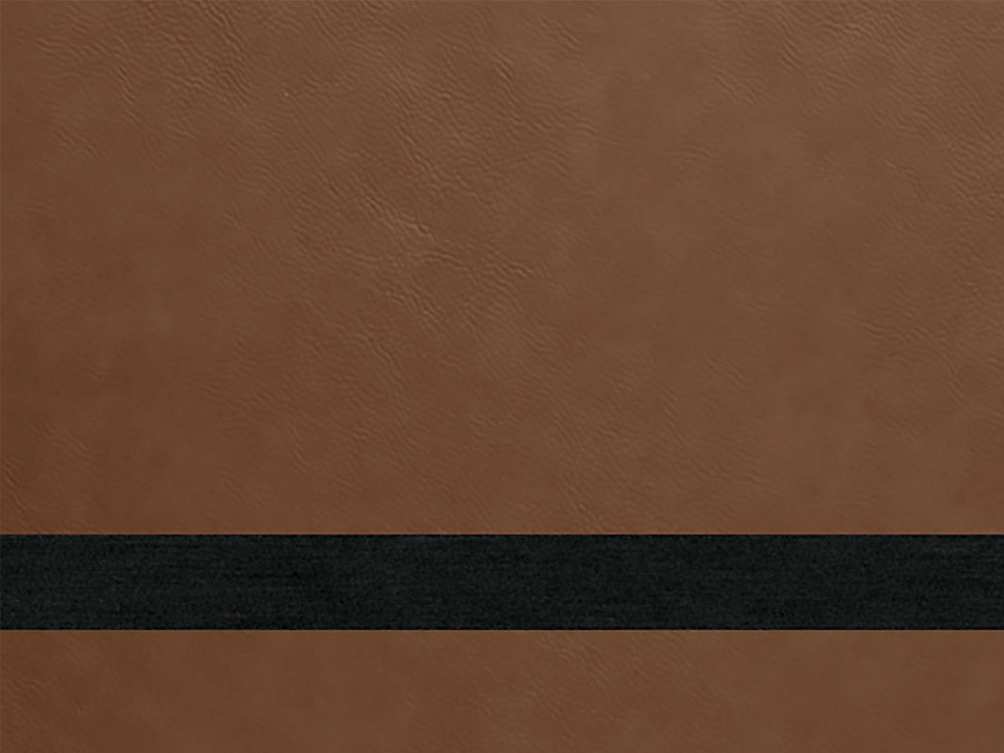 Semper Reformanda Cigar Case