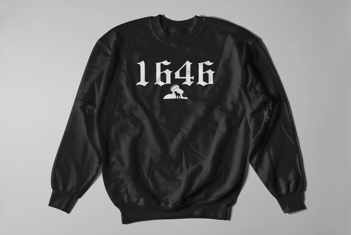 1646 - Sweatshirt