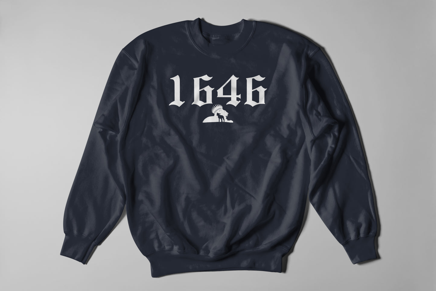 1646 - Sweatshirt