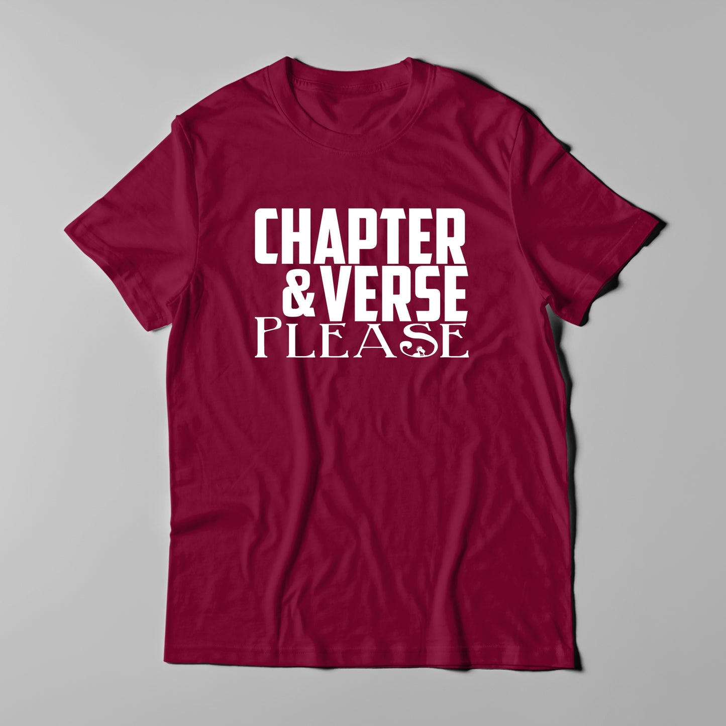 Chapter & Verse Please (VBM)
