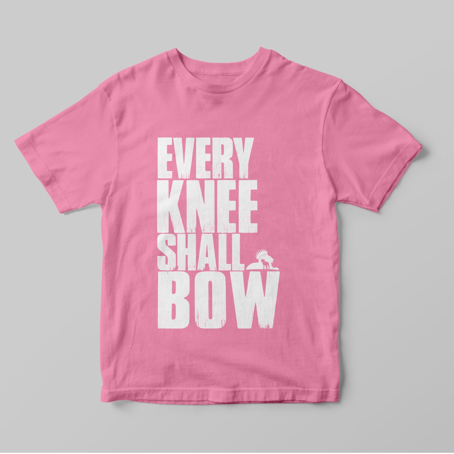 Every Knee Shall Bow - Women T-Shirt
