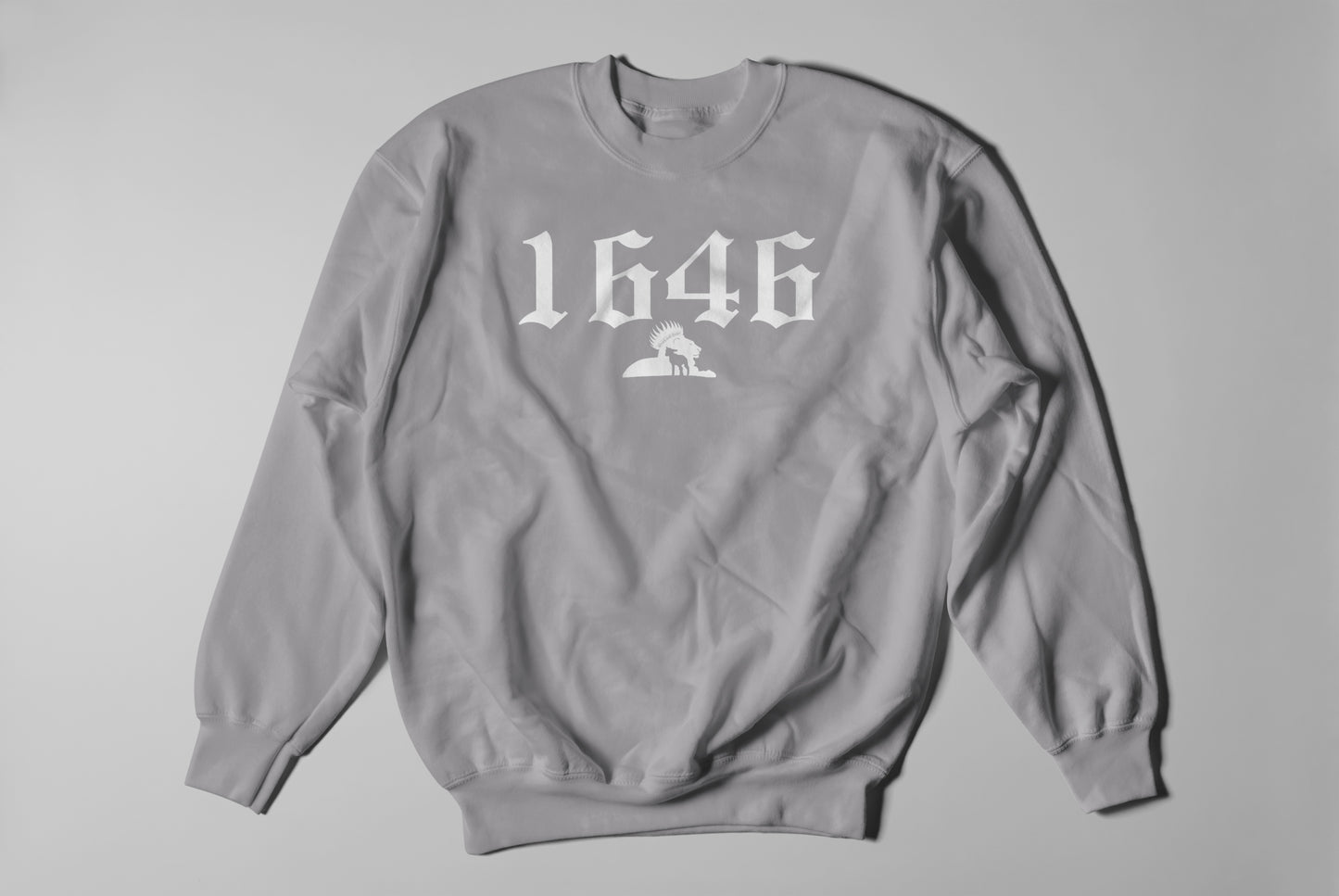 1646 - Sweatshirt