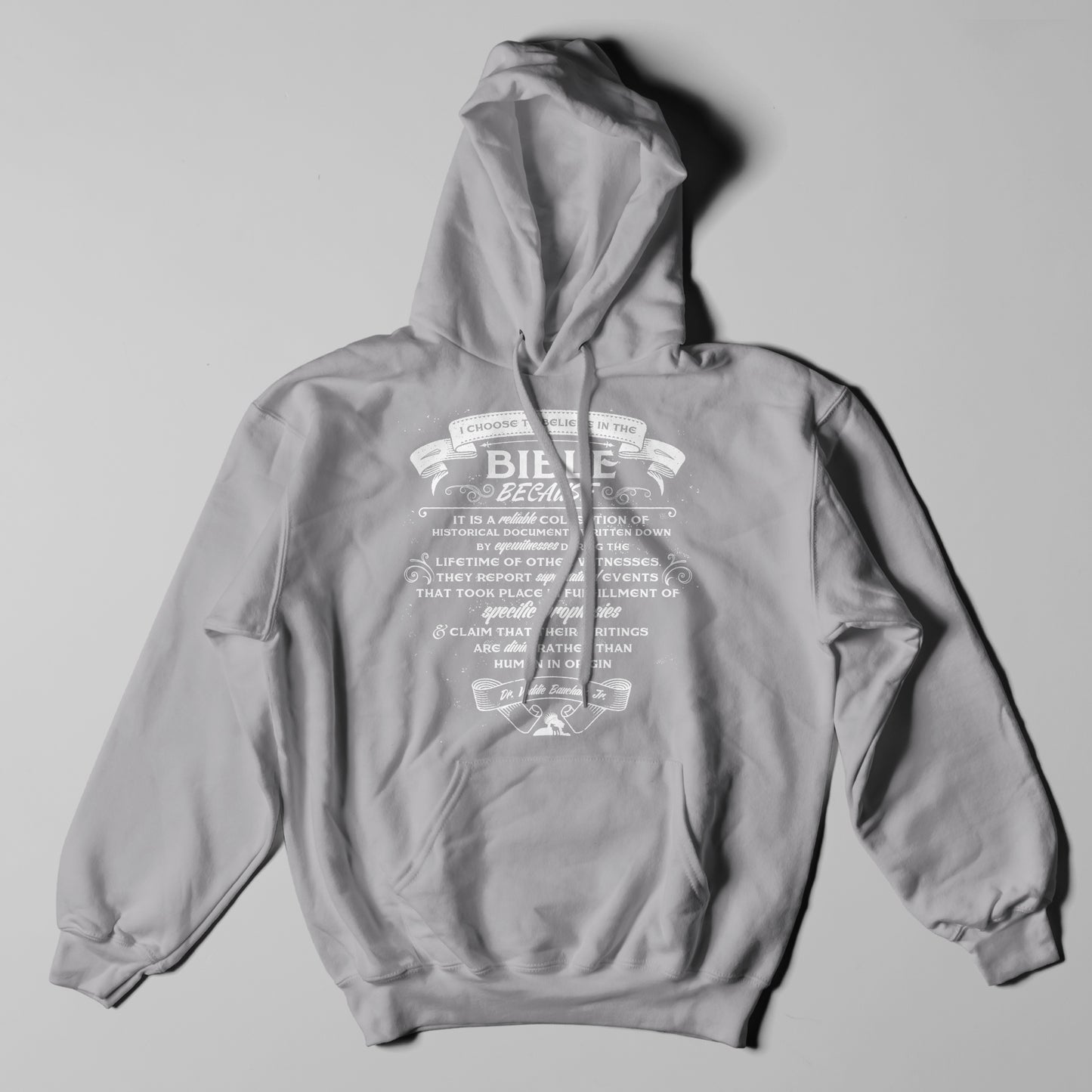 Why I Believe The Bible - Hoodie
