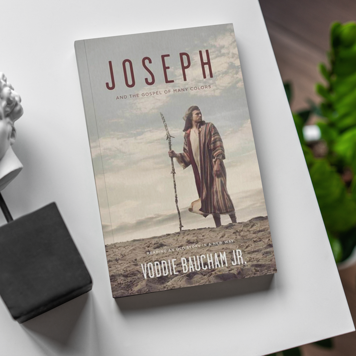 Joseph and the Gospel of Many Colors | VBM (Paperback)